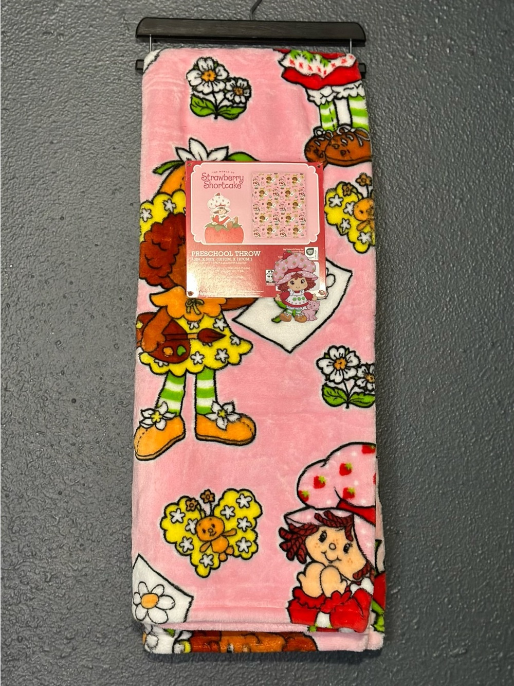 Strawberry Shortcake Preschool Throw